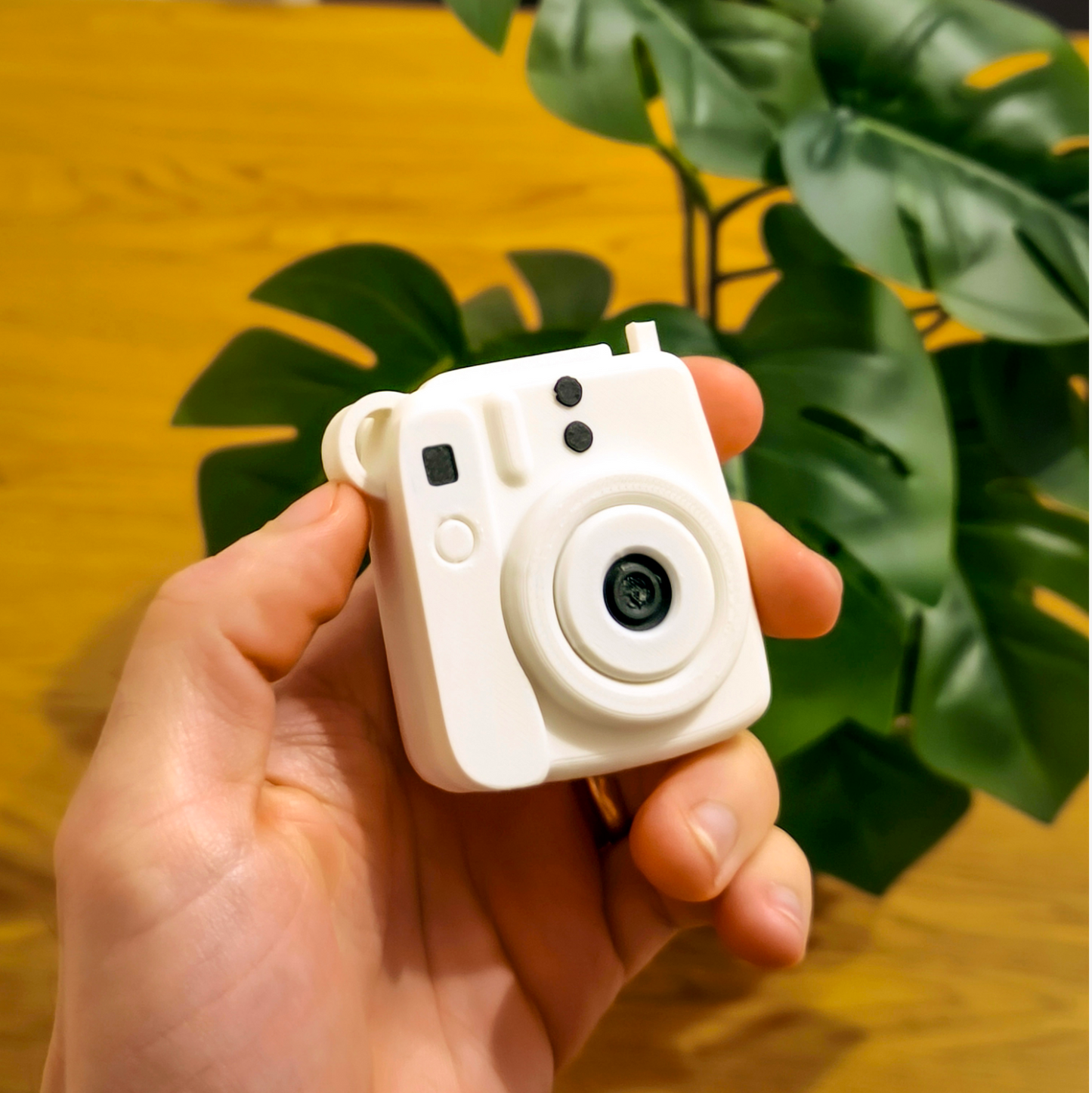 Mini Instax Photo Reveal Keychain.