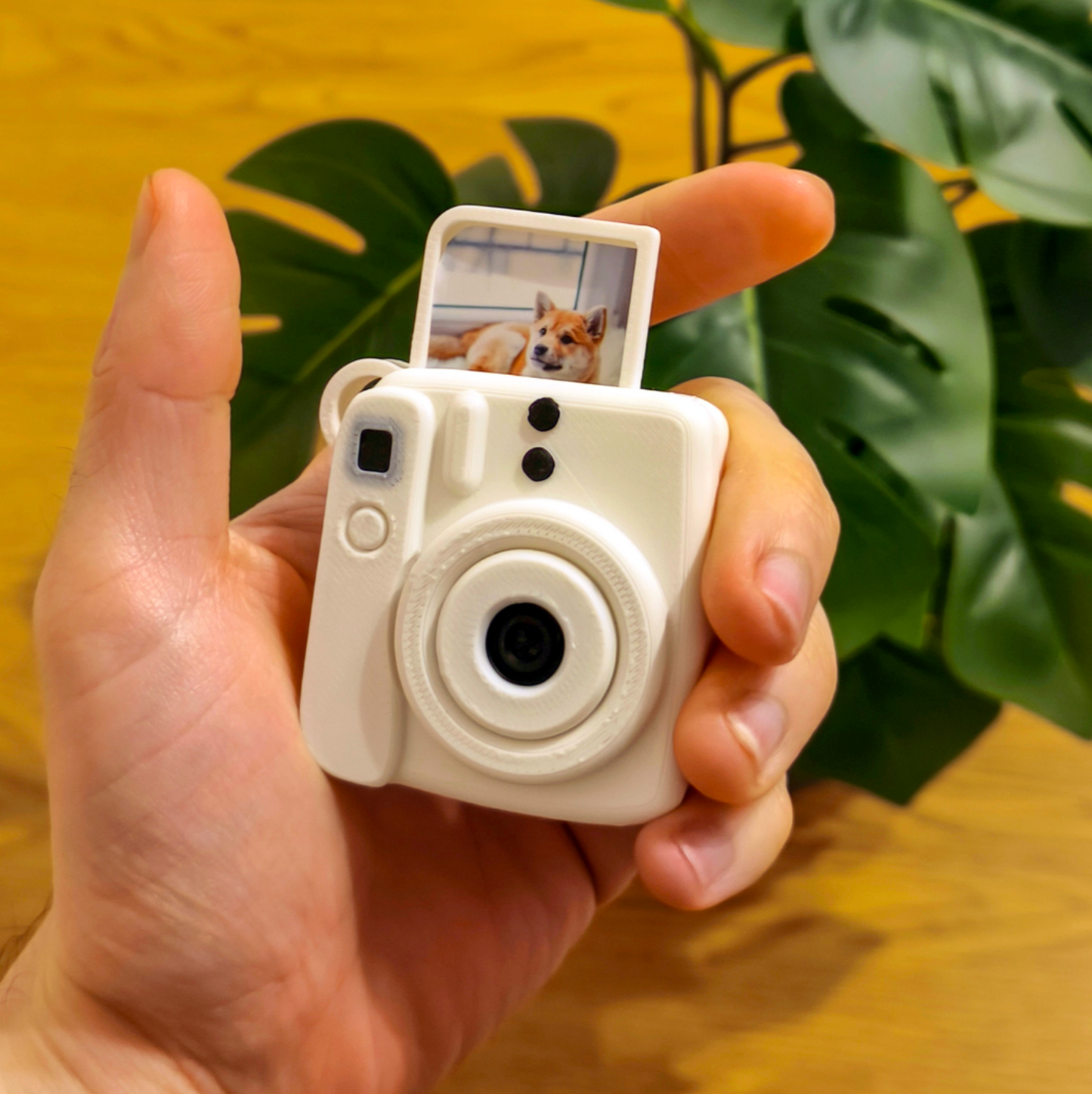 Mini Instax Photo Reveal Keychain.